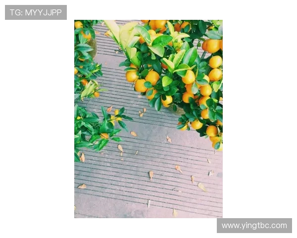 周娜独家揭秘足球世界的精彩瞬间与个人心得分享