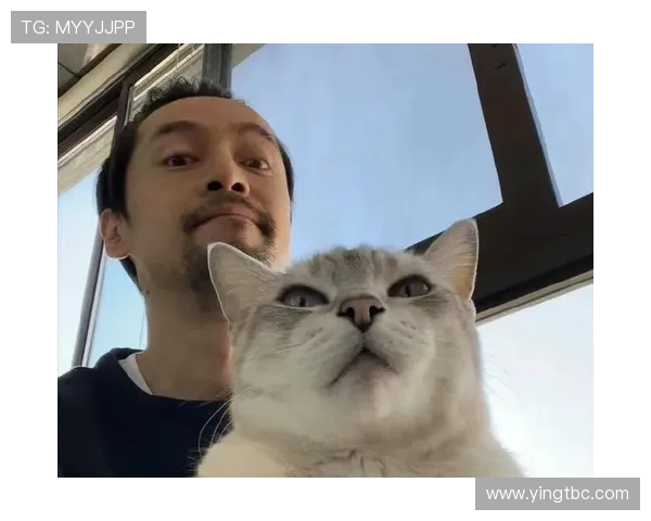 养猫的足球明星是谁他与爱猫的温馨故事揭秘